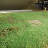 DSCN1372