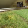 DSCN1373