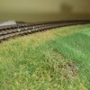 DSCN1377