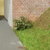 DSCN1379