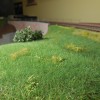 DSCN1380