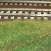 DSCN1386