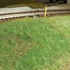 DSCN1387