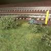 IMG-20141117-WA0008