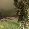 IMG-20141117-WA0014