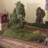 IMAG0254