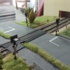 IMAG0611